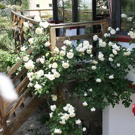 L'atelier Du Soulondre Frühstückspension